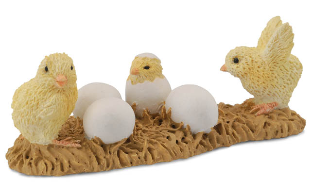 Chicks Hatching